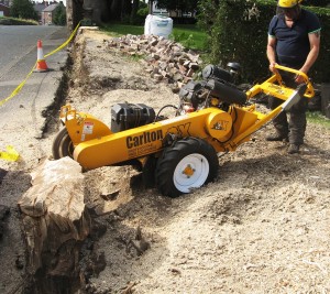 stump-grinding-Gateshead